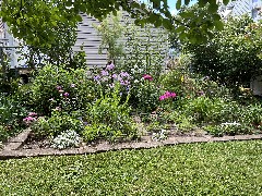 Ruth Bennett McDougal Dorrough; garden; flowers